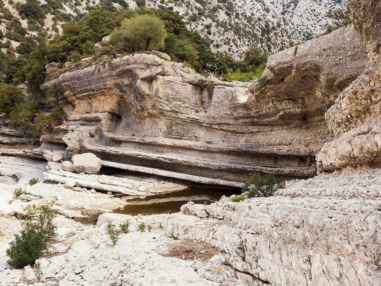 Le pareti verticali della Gola di Gorropu